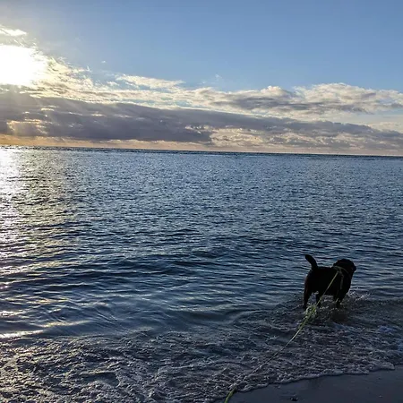 Feriehus 4 Person In Blavand-by Traum