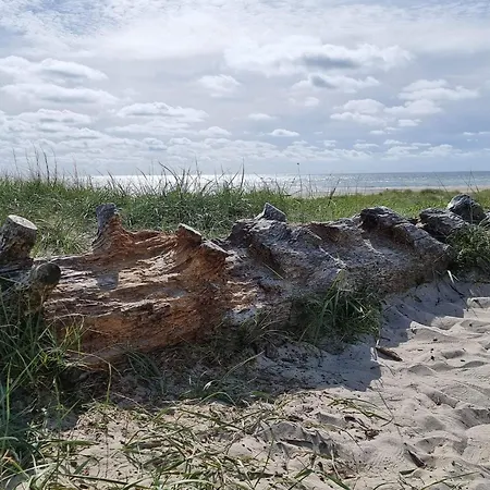 Feriehus 4 Person In Blavand-by Traum